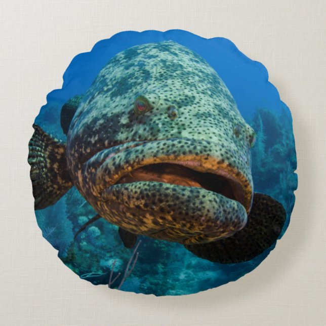 Atlantic Goliath Grouper Rond Kussen (Voorkant)