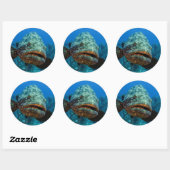 Atlantic Goliath Grouper Ronde Sticker (Vel)