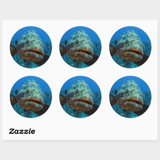 Atlantic Goliath Grouper Ronde Sticker (Vel)