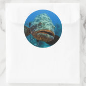 Atlantic Goliath Grouper Ronde Sticker (Tas)