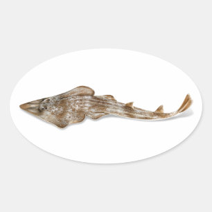 Atlantic Guitarfish Sticker