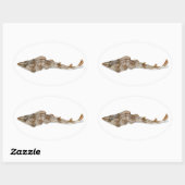 Atlantic Guitarfish Sticker (Vel)