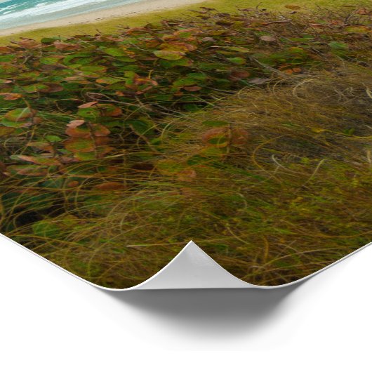 Atlantic Ocean Florida Beach Poster (Hoek)