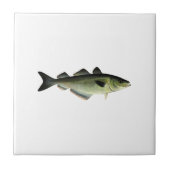 Atlantic Pollock Tegeltje (Voorkant)