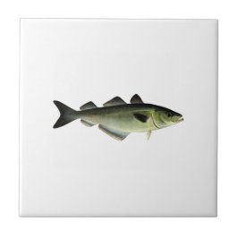 Atlantic Pollock Tegeltje