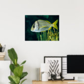 Atlantic Porkfish Portret Poster (Thuiskantoor)