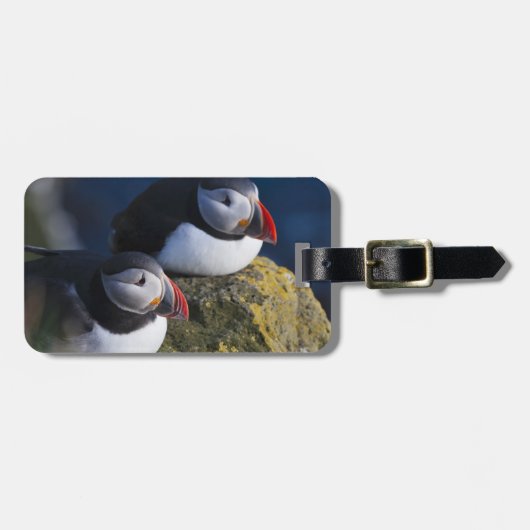 Atlantic Puffin Bagagelabel (Voorkant horizontaal)