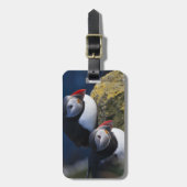 Atlantic Puffin Bagagelabel (Voorkant verticaal)