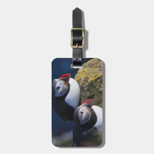 Atlantic Puffin Bagagelabel (Voorkant verticaal)