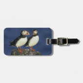 Atlantic Puffin Bagagelabel (Voorkant horizontaal)