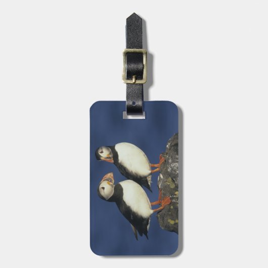 Atlantic Puffin Bagagelabel (Voorkant verticaal)