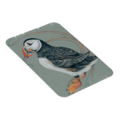 Atlantic Puffin Bird Art Drawing Magneet (Rechterzijde)