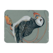 Atlantic Puffin Bird Art Drawing Magneet (Horizontaal)