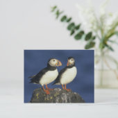 Atlantic Puffin Briefkaart (Staand voorkant)