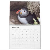 Atlantic Puffin Calendar 2021 Kalender (Mar 2026)