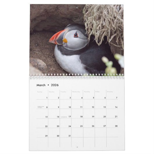 Atlantic Puffin Calendar 2021 Kalender (Mar 2026)
