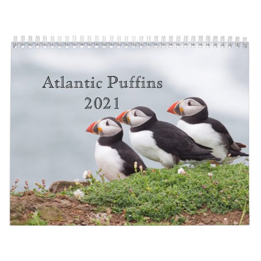 Atlantic Puffin Calendar 2021 Kalender (Hoes)