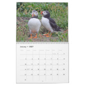 Atlantic Puffin Calendar 2021 Kalender (Jan 2027)