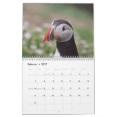Atlantic Puffin Calendar 2021 Kalender (Feb 2027)