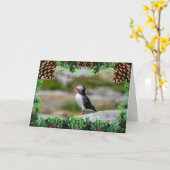 Atlantic Puffin Christmas Kaart (Gele Bloem)