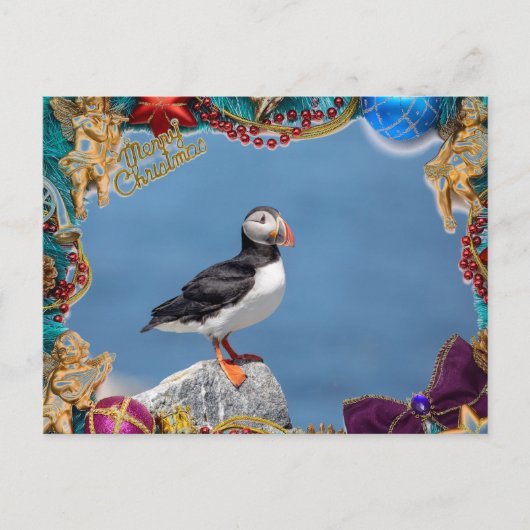 Atlantic Puffin Christmas Kaart (Voorkant)