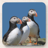 Atlantic Puffin Cork Onderzetter (Voorkant)