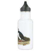 Atlantic Puffin door Audubon Waterfles (Rechts)