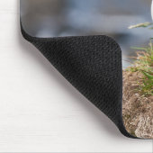 Atlantic Puffin Fratercula Arctica Muismat (Hoek)