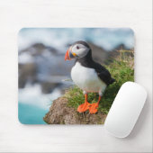 Atlantic Puffin Fratercula Arctica Muismat (Met muis)