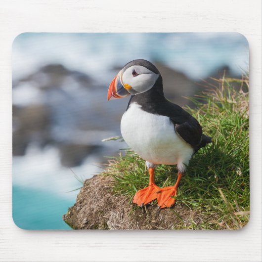 Atlantic Puffin Fratercula Arctica Muismat (Voorkant)