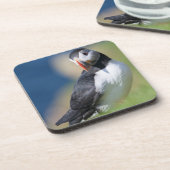 Atlantic Puffin (Fratercula Arctica) op Cliff 2 Onderzetter (Linkerzijde)