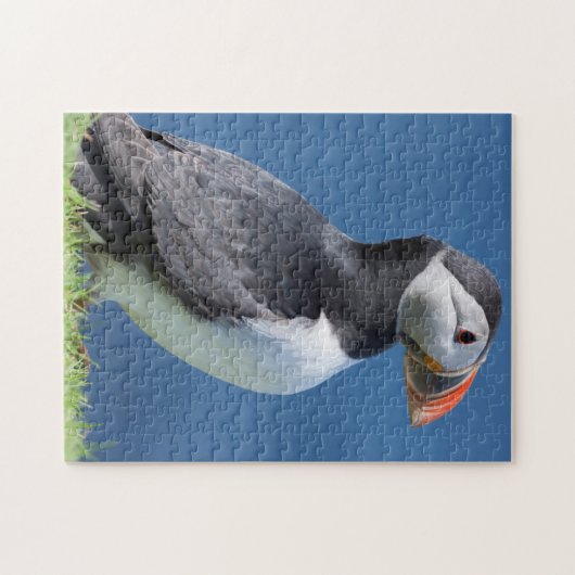 Atlantic Puffin (Fratercula Arctica) op Cliff Legpuzzel (Horizontaal)