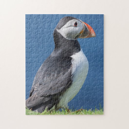 Atlantic Puffin (Fratercula Arctica) op Cliff Legpuzzel (Verticaal)