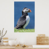Atlantic Puffin (Fratercula Arctica) op Cliff Poster (Keuken)