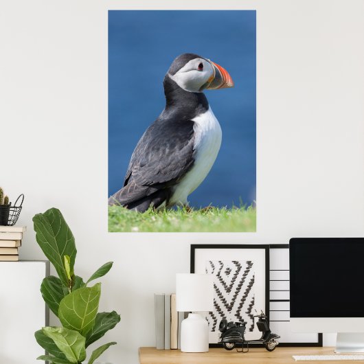 Atlantic Puffin (Fratercula Arctica) op Cliff Poster (Thuiskantoor)