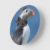 Atlantic Puffin (Fratercula Arctica) op Cliff Ronde Klok (Hoek)