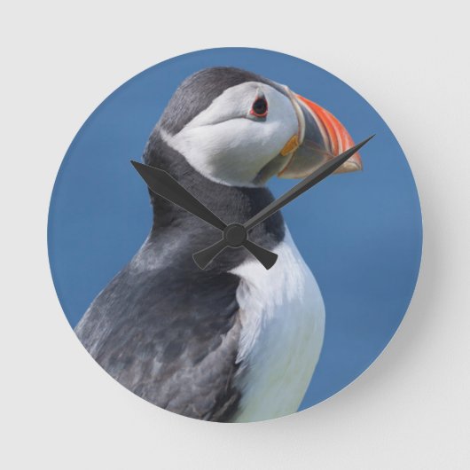 Atlantic Puffin (Fratercula Arctica) op Cliff Ronde Klok (Voorkant)