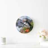 Atlantic Puffin Fratercula Arctica Ronde Klok (Huis)
