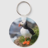 Atlantic Puffin Fratercula Arctica Sleutelhanger (Voorkant)