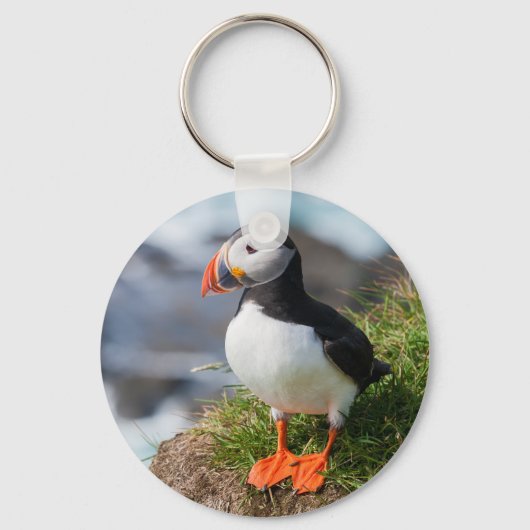 Atlantic Puffin Fratercula Arctica Sleutelhanger (Voorkant)
