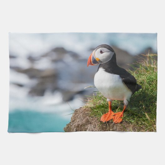 Atlantic Puffin Fratercula Arctica Theedoek (Horizontaal)
