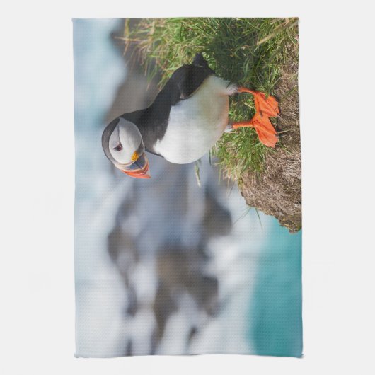 Atlantic Puffin Fratercula Arctica Theedoek (Verticaal)