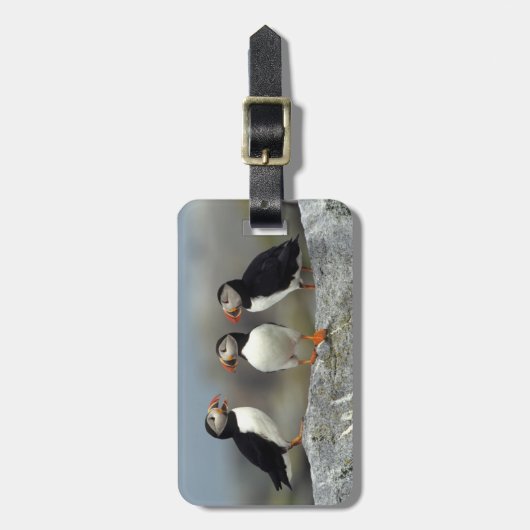 Atlantic Puffin Group Bagagelabel (Voorkant verticaal)