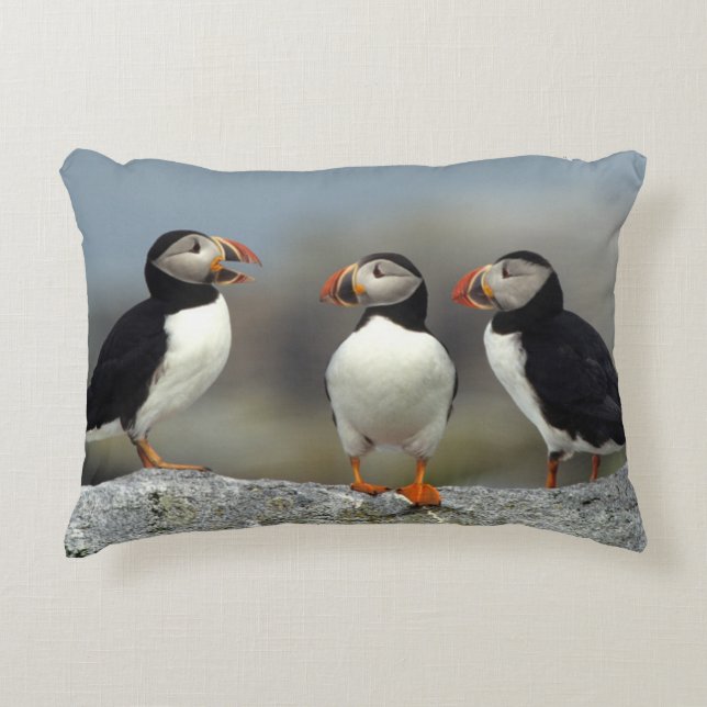 Atlantic Puffin Group Decoratief Kussen (Voorkant)