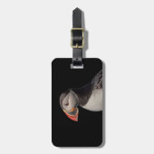 Atlantic Puffin in Machias, Maine Bagagelabel (Voorkant verticaal)