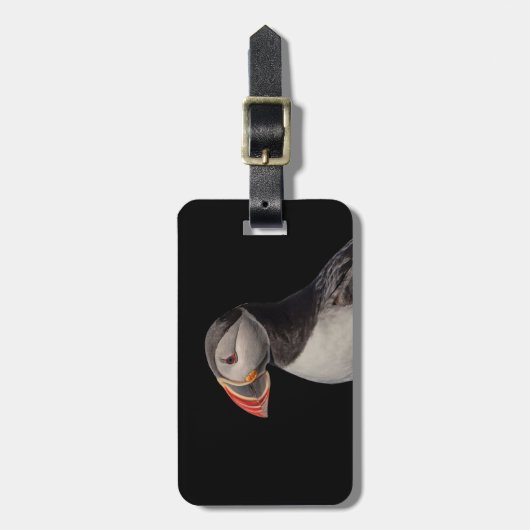 Atlantic Puffin in Machias, Maine Bagagelabel (Voorkant verticaal)