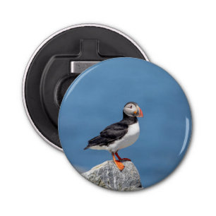 Atlantic Puffin in Machias, Maine Button Flesopener