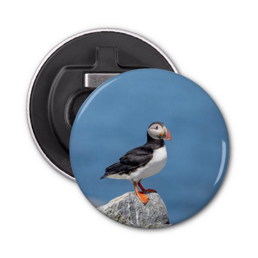 Atlantic Puffin in Machias, Maine Button Flesopener (Voorkant)