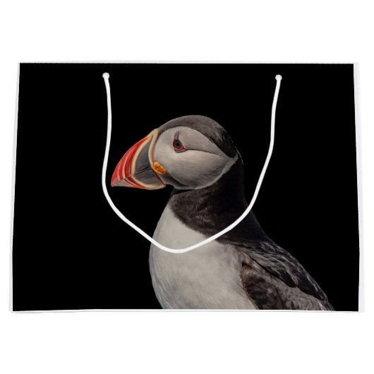 Atlantic Puffin in Machias, Maine Groot Cadeauzakje (Voorkant)