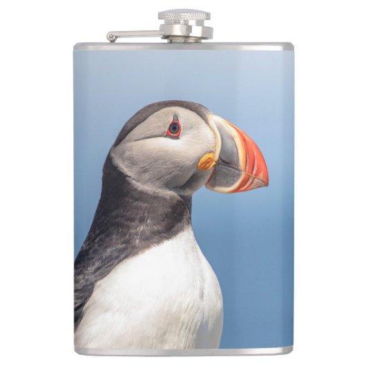 Atlantic Puffin in Machias, Maine Heupfles (Voorkant)